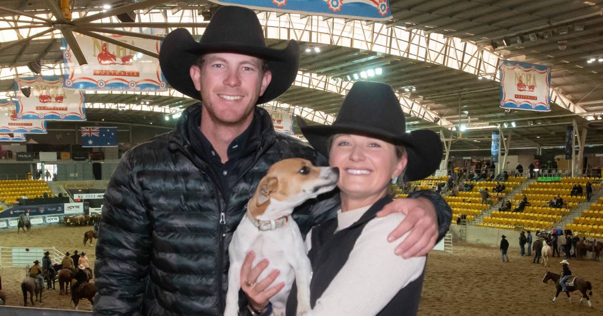 Tamworth: National Cutting Horse Association of Australia’s Futurity Show 2023 ‘incredible’ | The Land