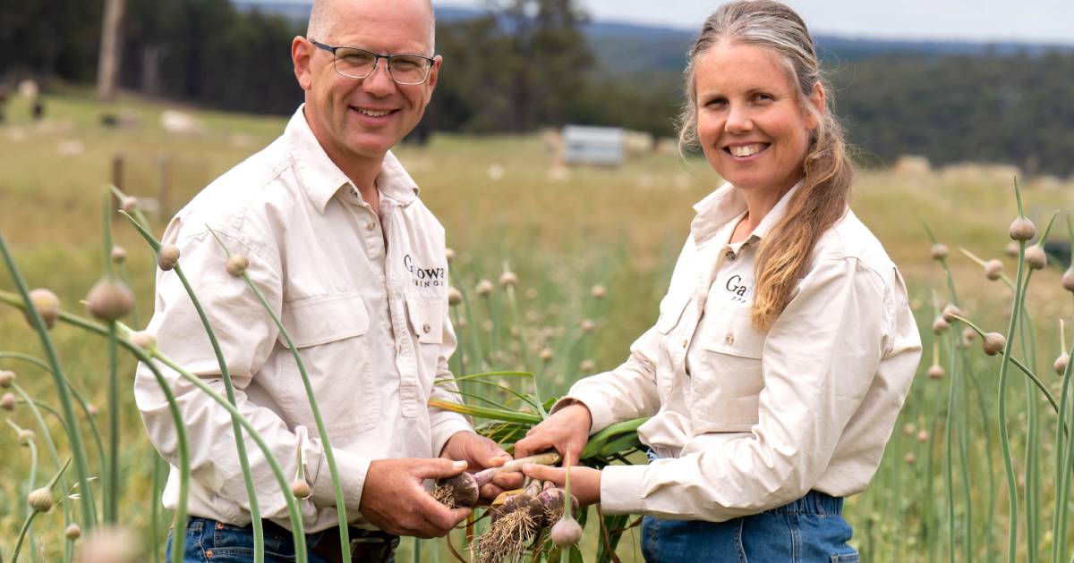 Giving young people land and a hand | Farm Weekly