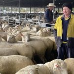 Stanthorpe woolgrowers among winners at prestigious superfine awards