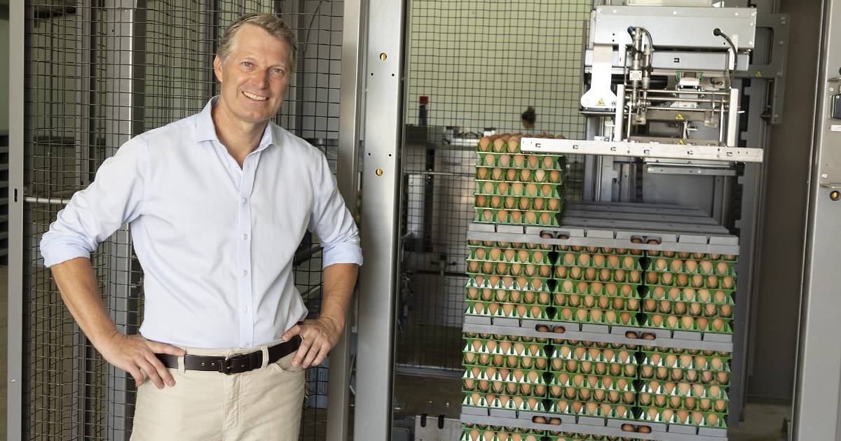 All eyes on eggs after the release of a traceability project