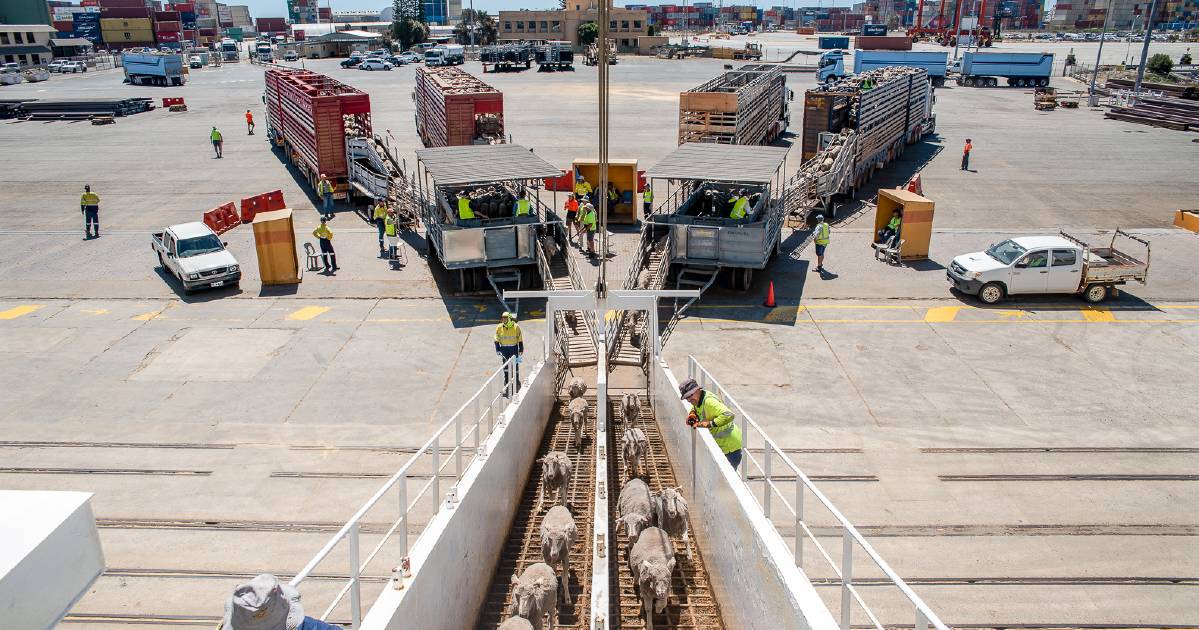 The Nationals want to meet with WA Labor to work together for the WA live sheep export industry | Farm Weekly