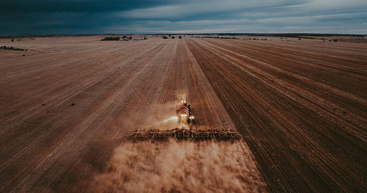 Rain across most districts settles the dust as attention now turns to weed control