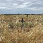 Man charged over alleged assault in Mount Isa pub