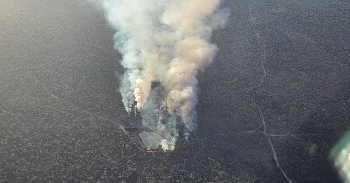 Bravus Mining and Resources seeking urgent meeting after activist started illegal fire | Queensland Country Life