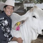 Weaners cheaper at Monto