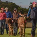 Australian carbon farmers are pushing for greater transparency | The Land