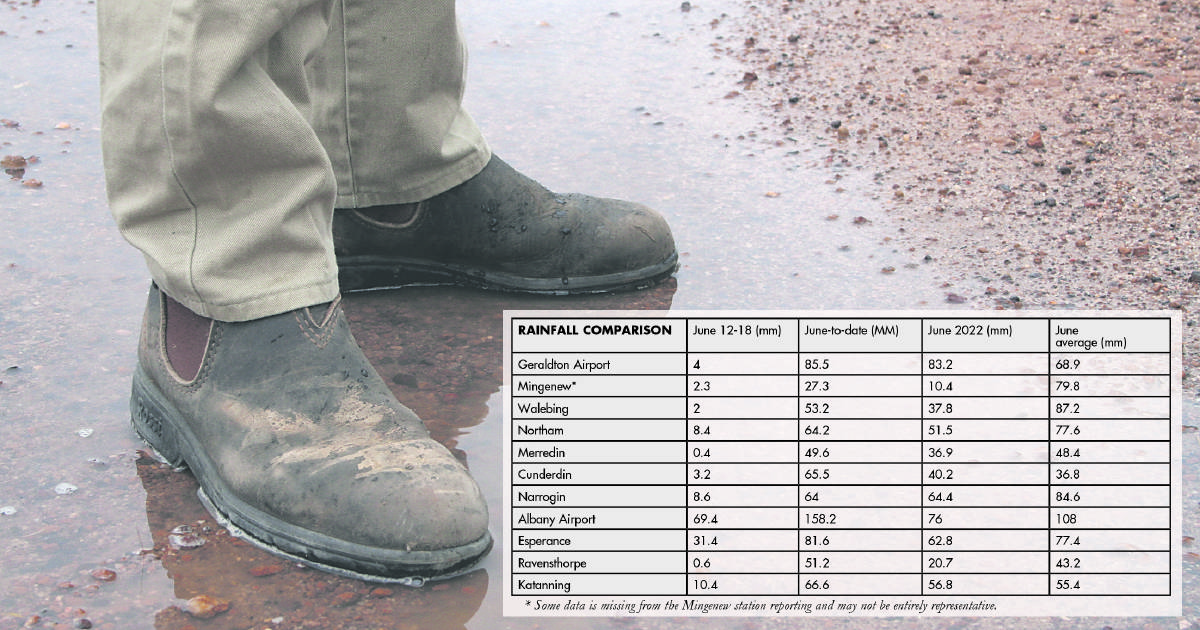 Sporadic showers spell start to 2023 grain production season