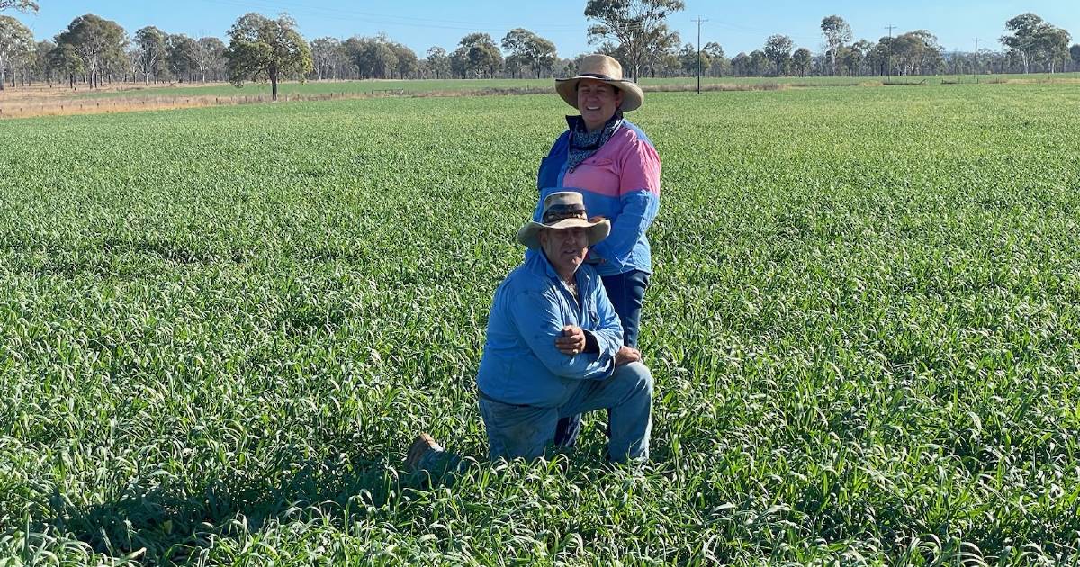 Frosty May conditions present challenges for graziers heading into Winter