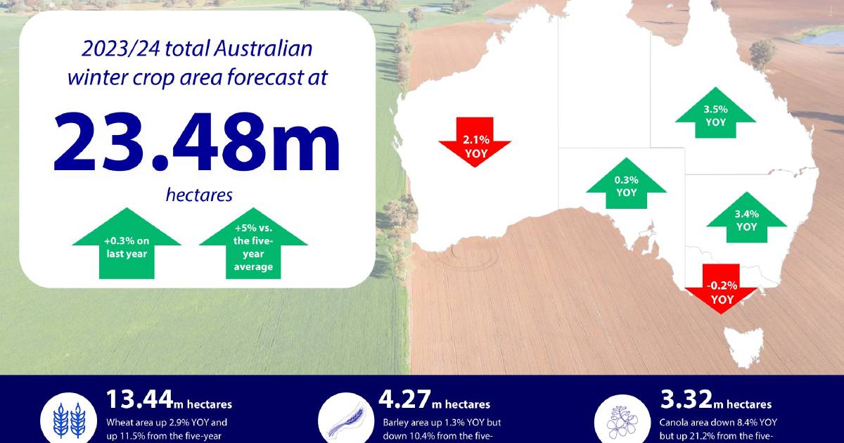 WA projected planting has decreased by 2.1pc: Rabobank | Farm Weekly