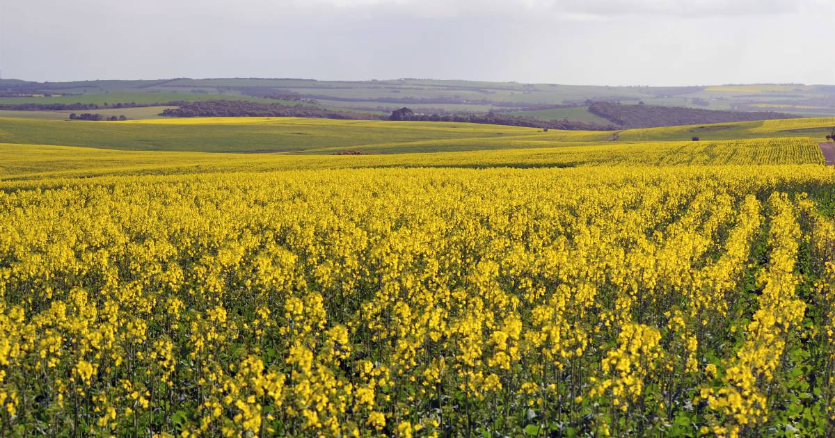 Crystal ball needed to predict farmland supply and demand this spring