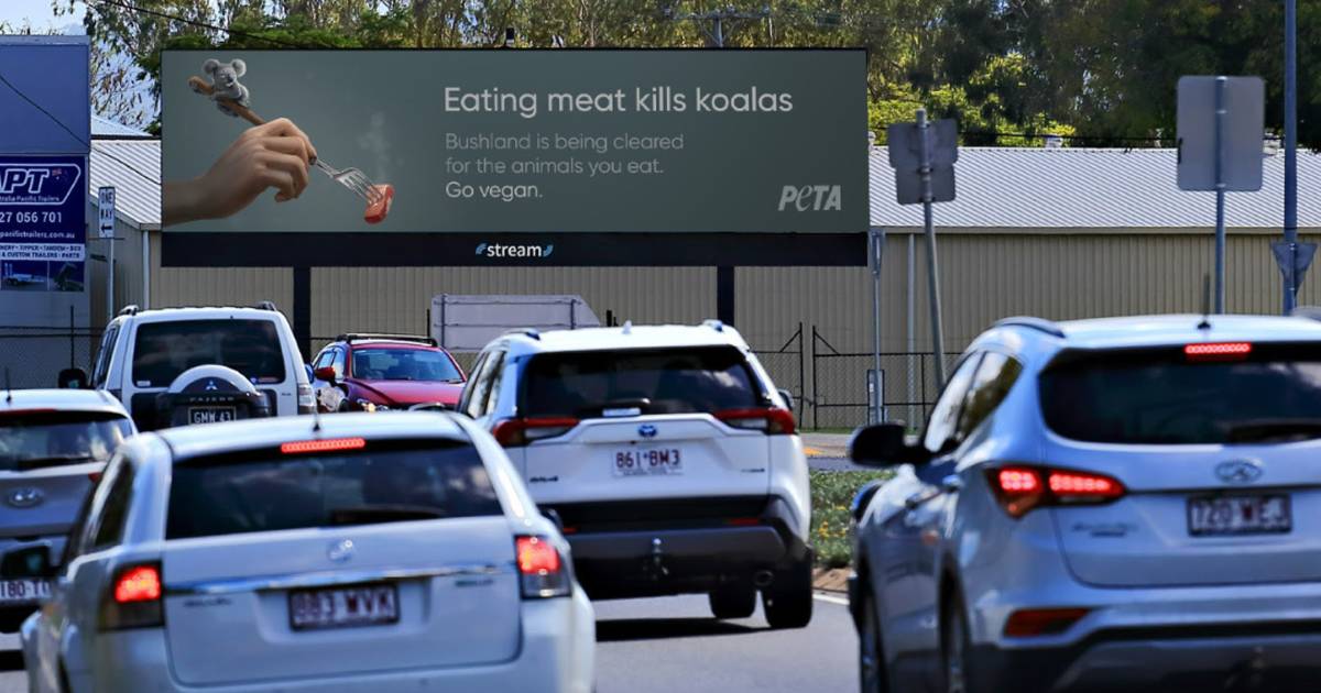 Vegans take another big swipe at the Australian beef industry