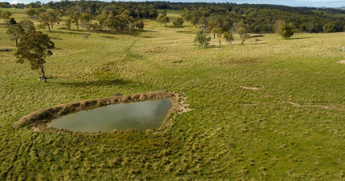 More grazing country sold under the hammer