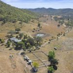 Boy dragged underwater by Dingo on K’gari Island