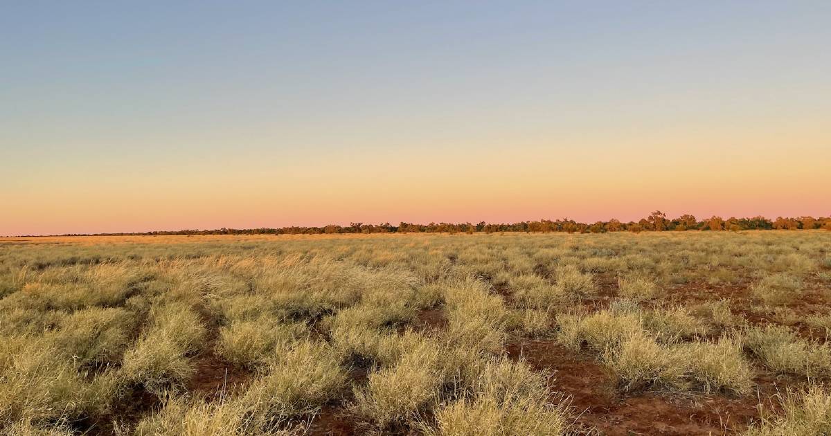 Only two shires left in drought in Queensland