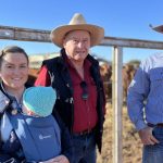 Steers in demand at Carcoar store cattle sale