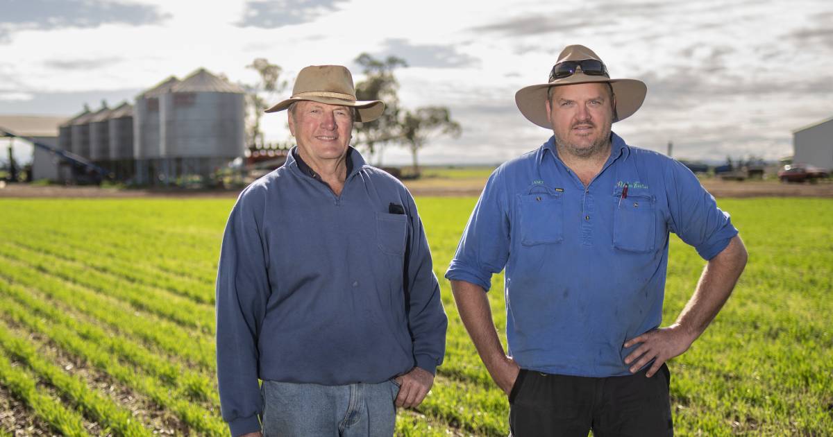 Barley down, wheat up as Wise family switch crop strategy