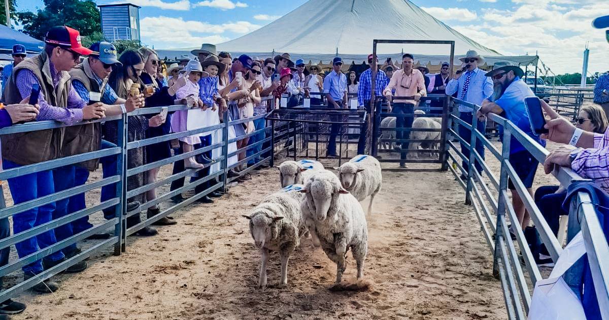 Solid crowd at Muttaburra Stock Show