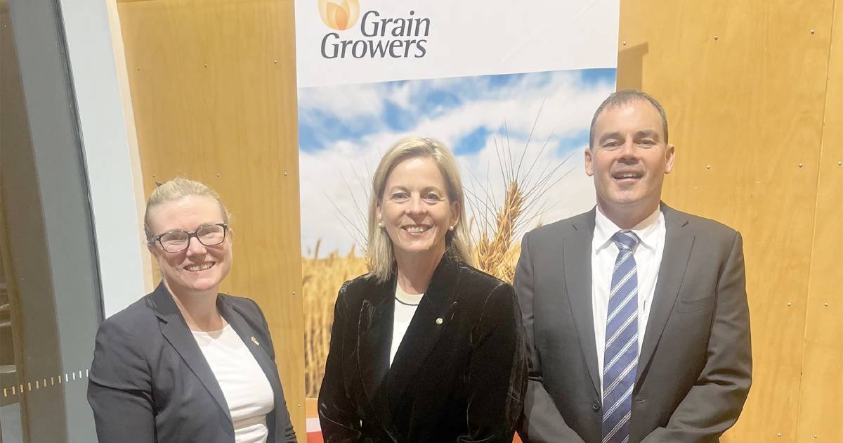 Bid to get more regional women working | Farm Weekly