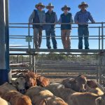 Opinion: A biosecurity levy will be money well spent – if Ag has oversight