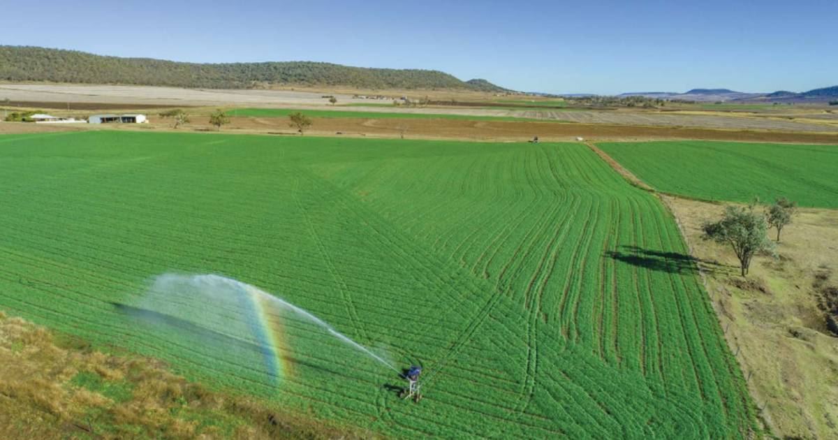 Productive Alfred Park backed by reliable water