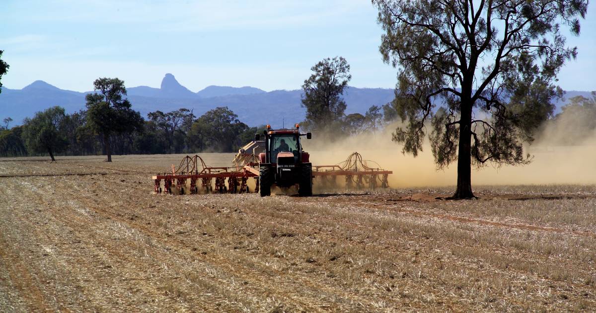 Growers rush to complete seeding ahead of forecast widespread rain | The Land