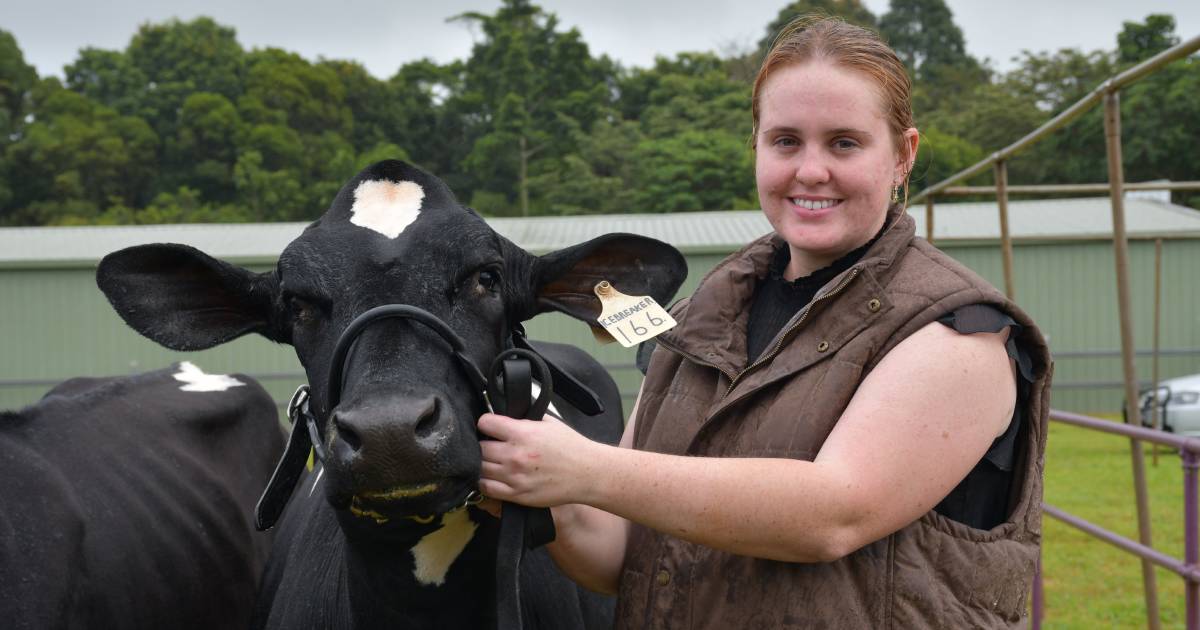 Malanda's entries in state dairy competition