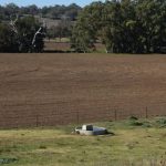 Grazing property sold for above pre-auction expectations