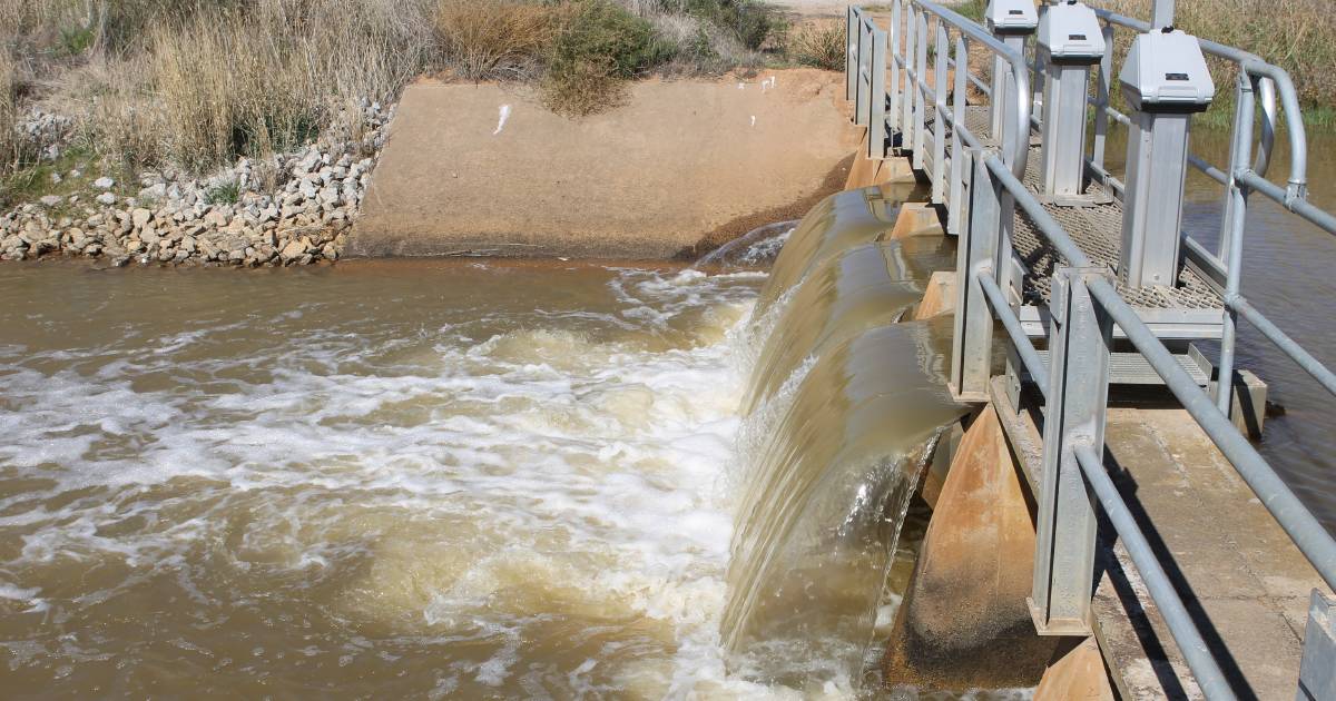 Submit your ideas to deliver the Murray-Darling Basin Plan