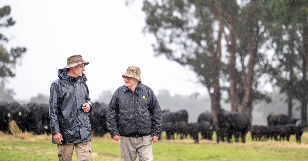 Livestock Matters forum set for Nannup