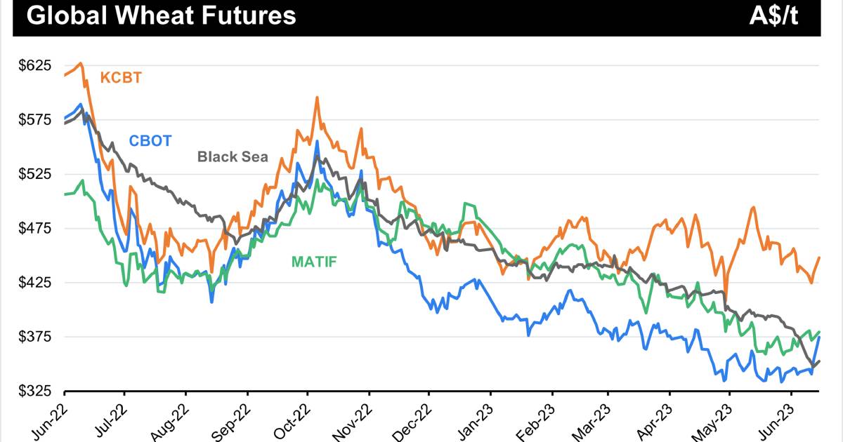 CBoT wheat bounces higher