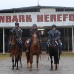 Out and about at the Gulgong Gold Cup