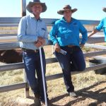 Warrego Campdraft goes ahead successfully with support of local graziers | Queensland Country Life