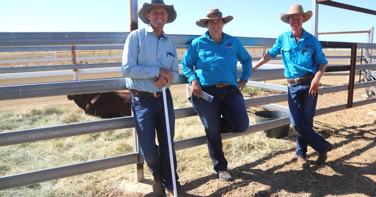 Richmond field days and races given a warm reception for 2023 | North Queensland Register