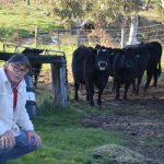 Queensland, Victorian shearing teams get the job done at Bimerah | Queensland Country Life