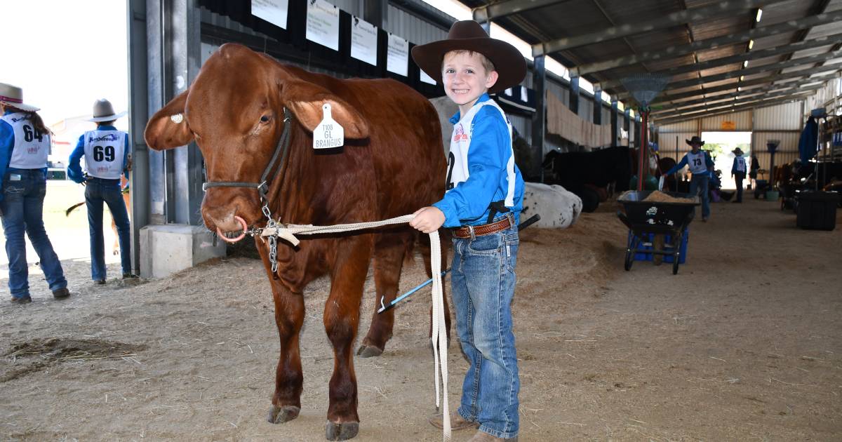 What it takes to get a six-year-old ready for his first show: meet Rocky Junior Beef's youngest competitors