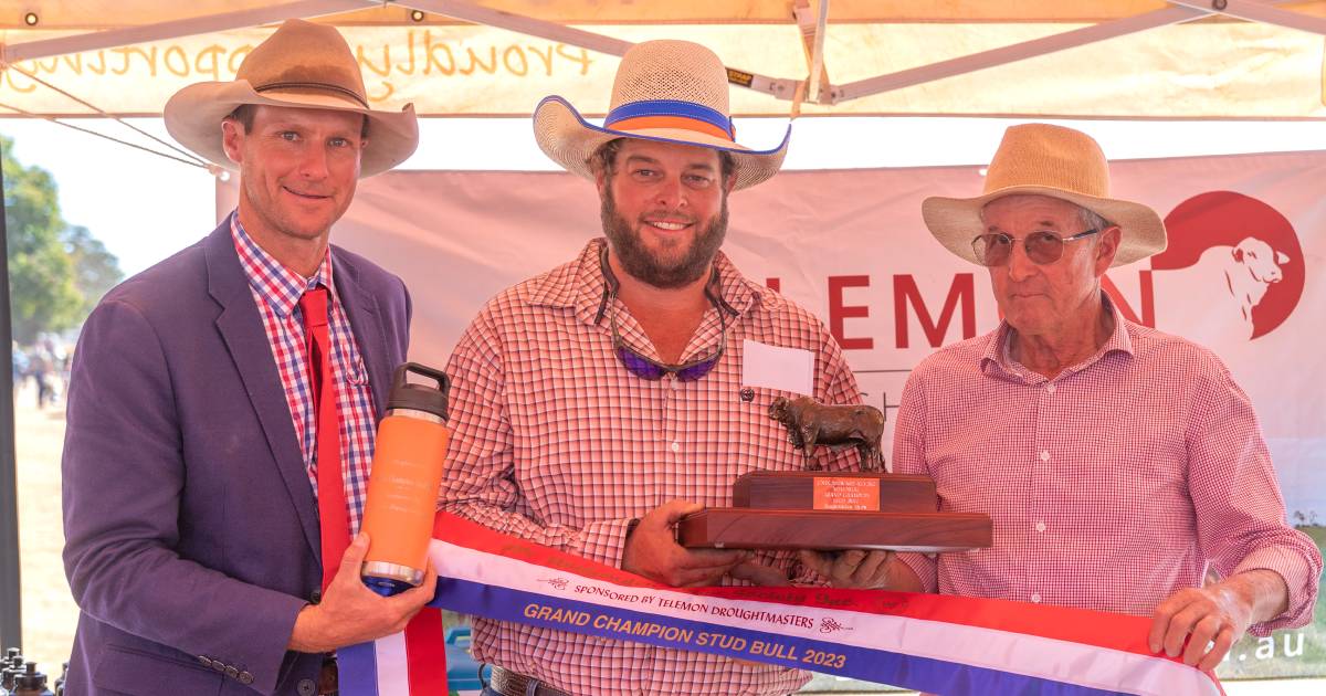 Hughenden Show awards $18,000 to cattle comp winners