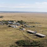 Good genetics is the key to Merino ewe success| Photos