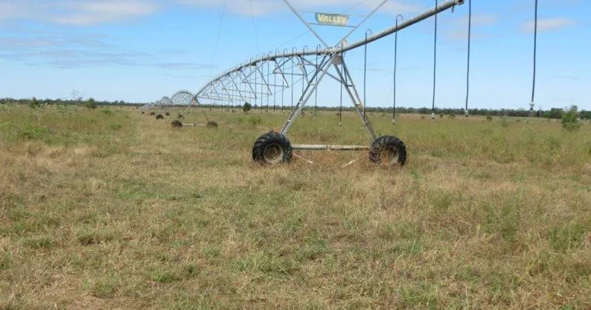 Irrigated farming opportunity with 2500 megalitres of 'free' water