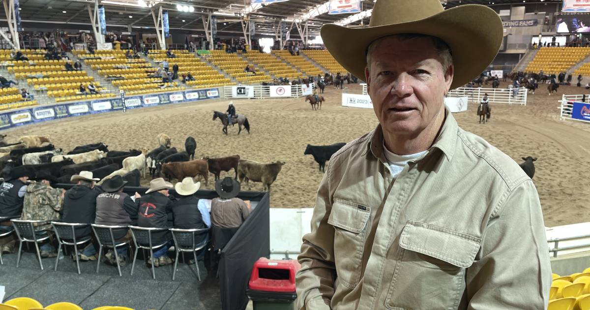 NCHA Futurity to use 6500 cattle in the 15-day event