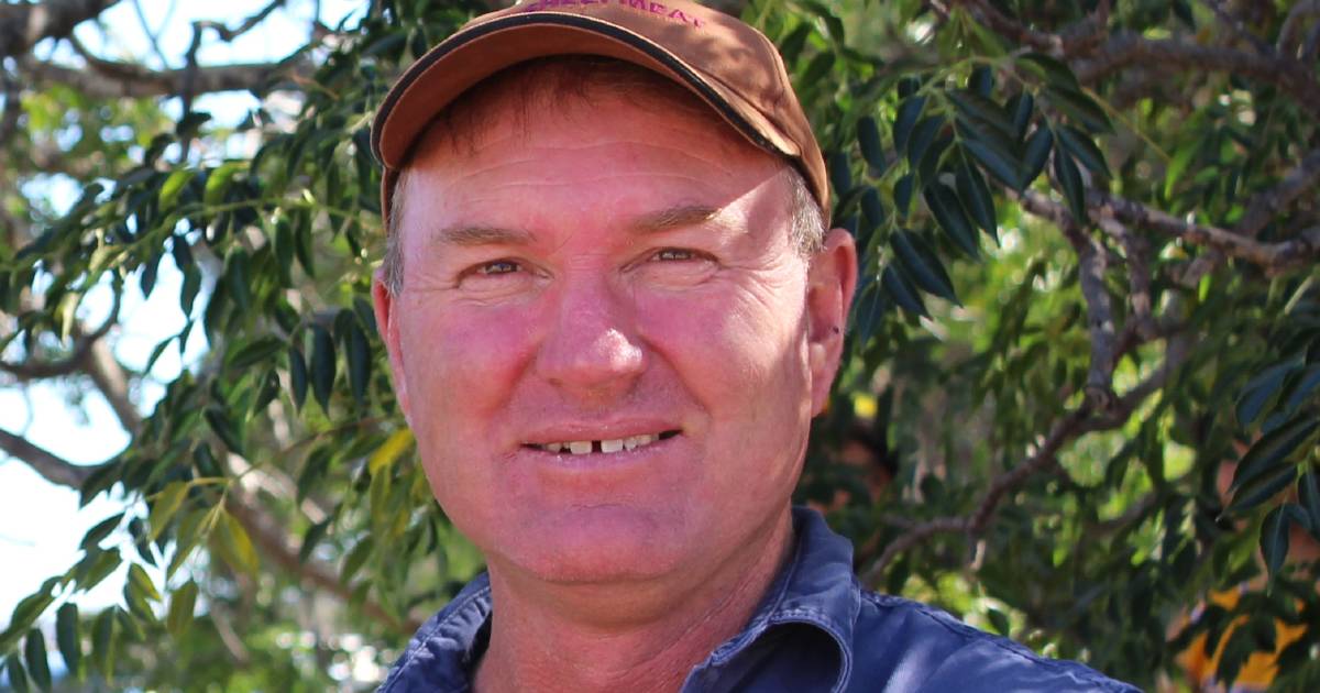 Steve McGuire, Kojonup, seeks Australian Wool Innovation role | Farm Weekly