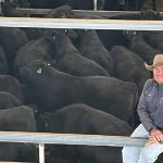 Cape York Biosecurity Centre to close amid state gov's biosecurity investment overhaul