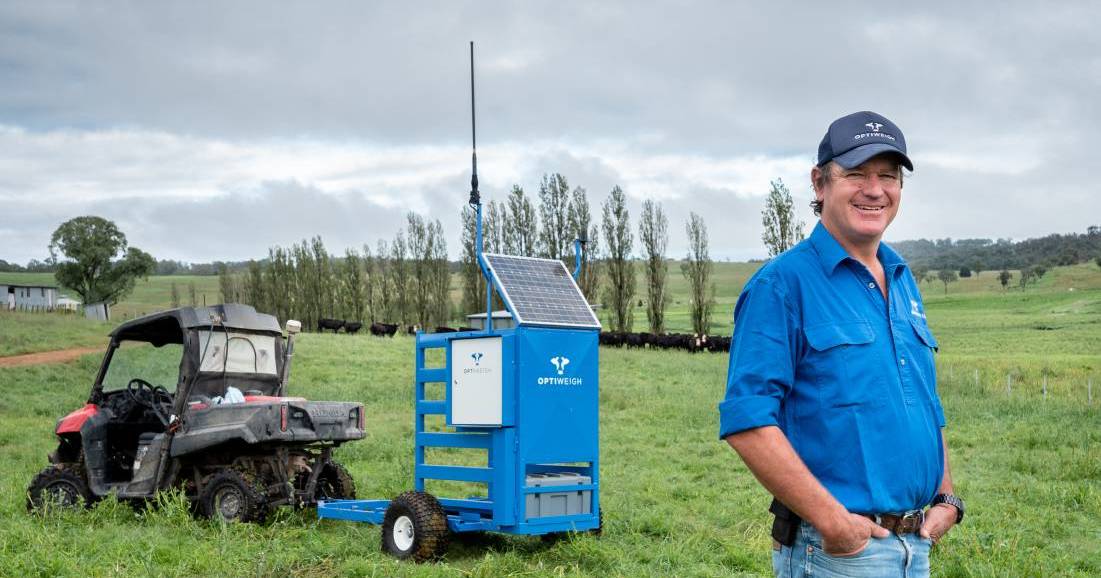 A day in the life of a cattle farmer