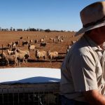 Cowboy Hats For Kate supported with a mullet shave fundraiser | The Land