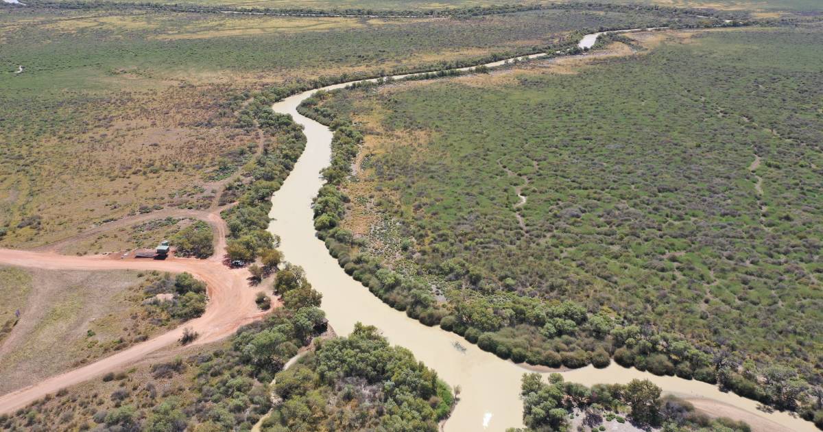 Opening of Lake Eyre Basin consultation 'overdue but welcome'