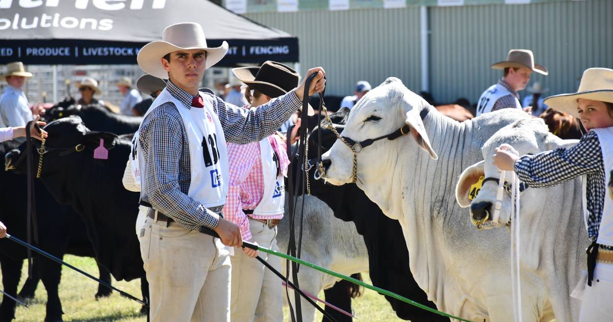 Around the ring: All the results from the 2023 Rockhampton Junior Beef Show