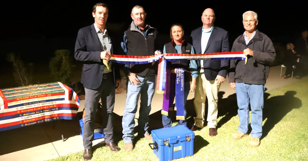 Barcaldine red factor Charolais repeat 2022 show sale win