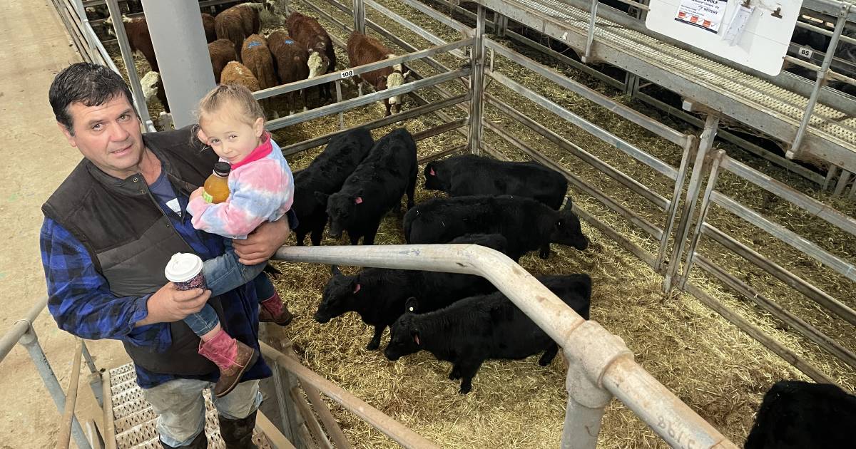 Heifers sell to dearer trend at Wodonga