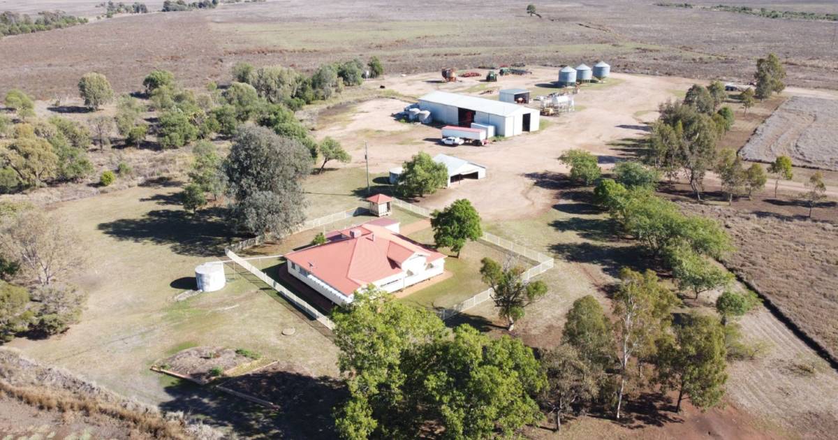 Myalla and Glenvale both sell at auction