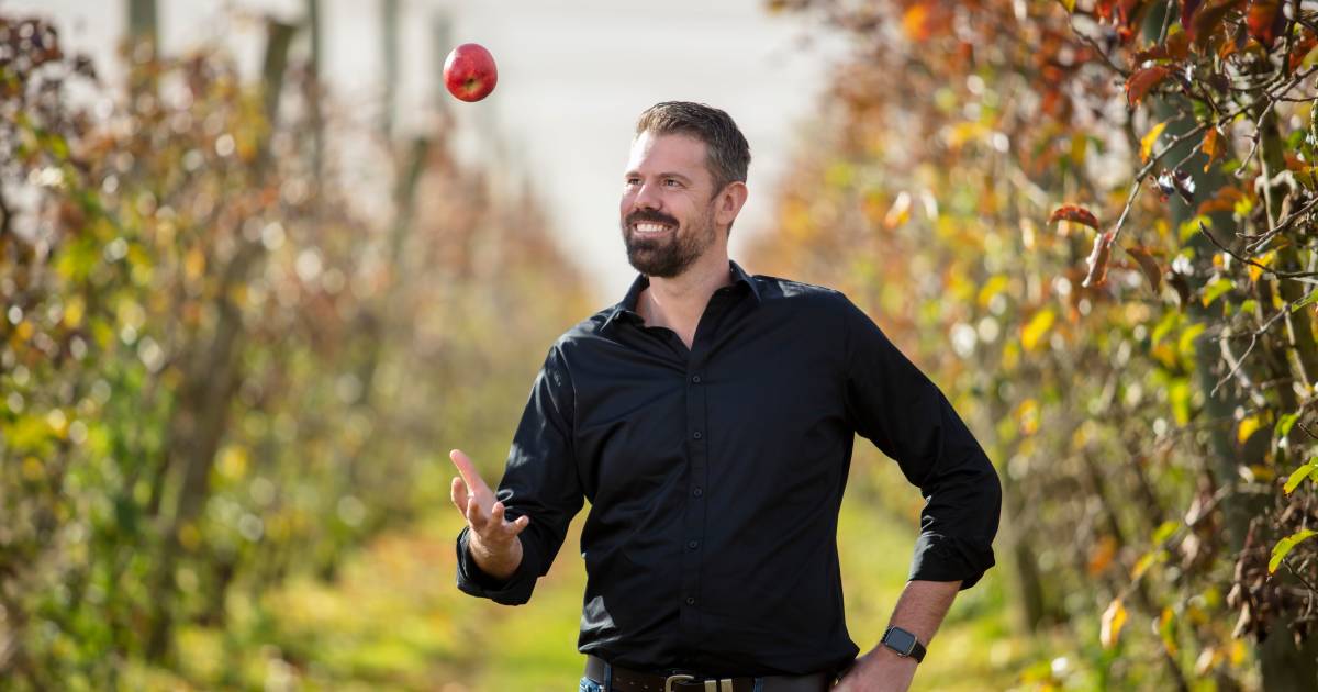 New 'out of this world' Batlow-grown apple to hit NSW markets