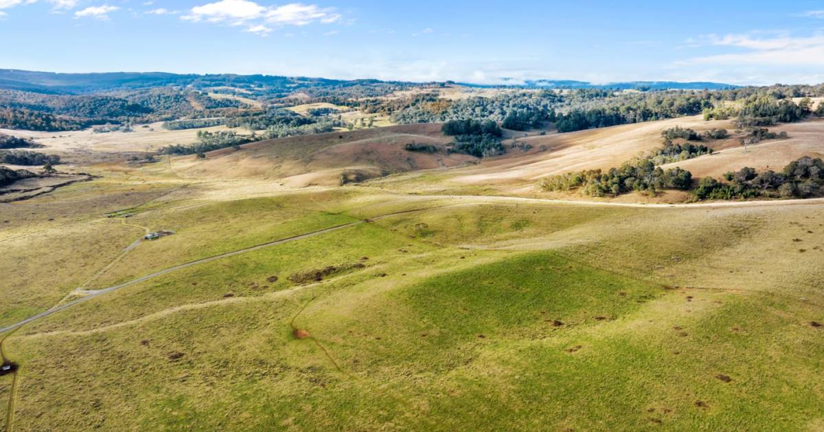 Historic cattle country on market after 171 years | Video